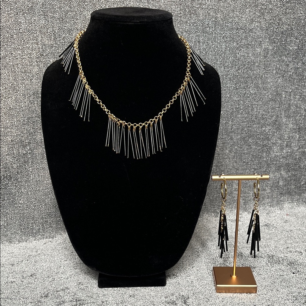 Fringe Chain Necklace and  Fringe Charm Drop Earrings Set